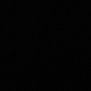 Meet your Posher, Jake